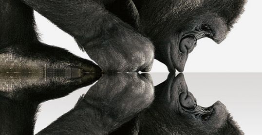 How Gorilla Glass is Made | Glass Composition and Manufacturing Process | Corning Gorilla Glass
