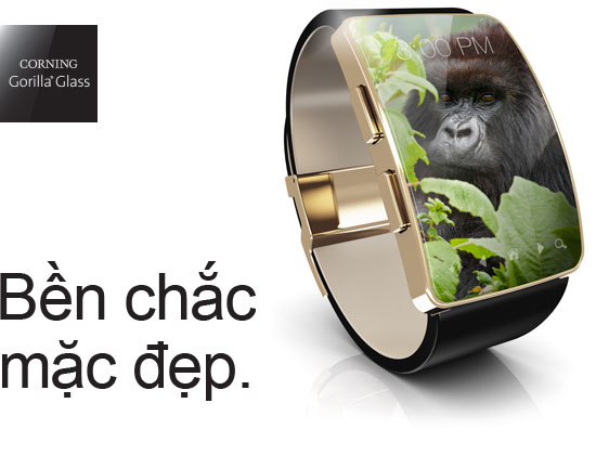 Gorilla Glass SR+