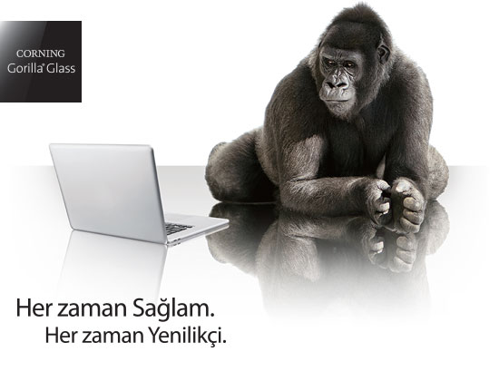 Notebook’lar