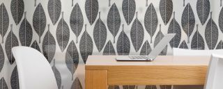 Willow Glass Laminates