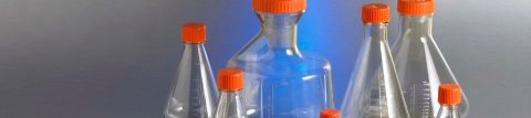 Download our Erlenmeyer Flask Application Notes