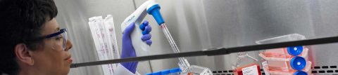 Falcon® Tubes and Pipettes