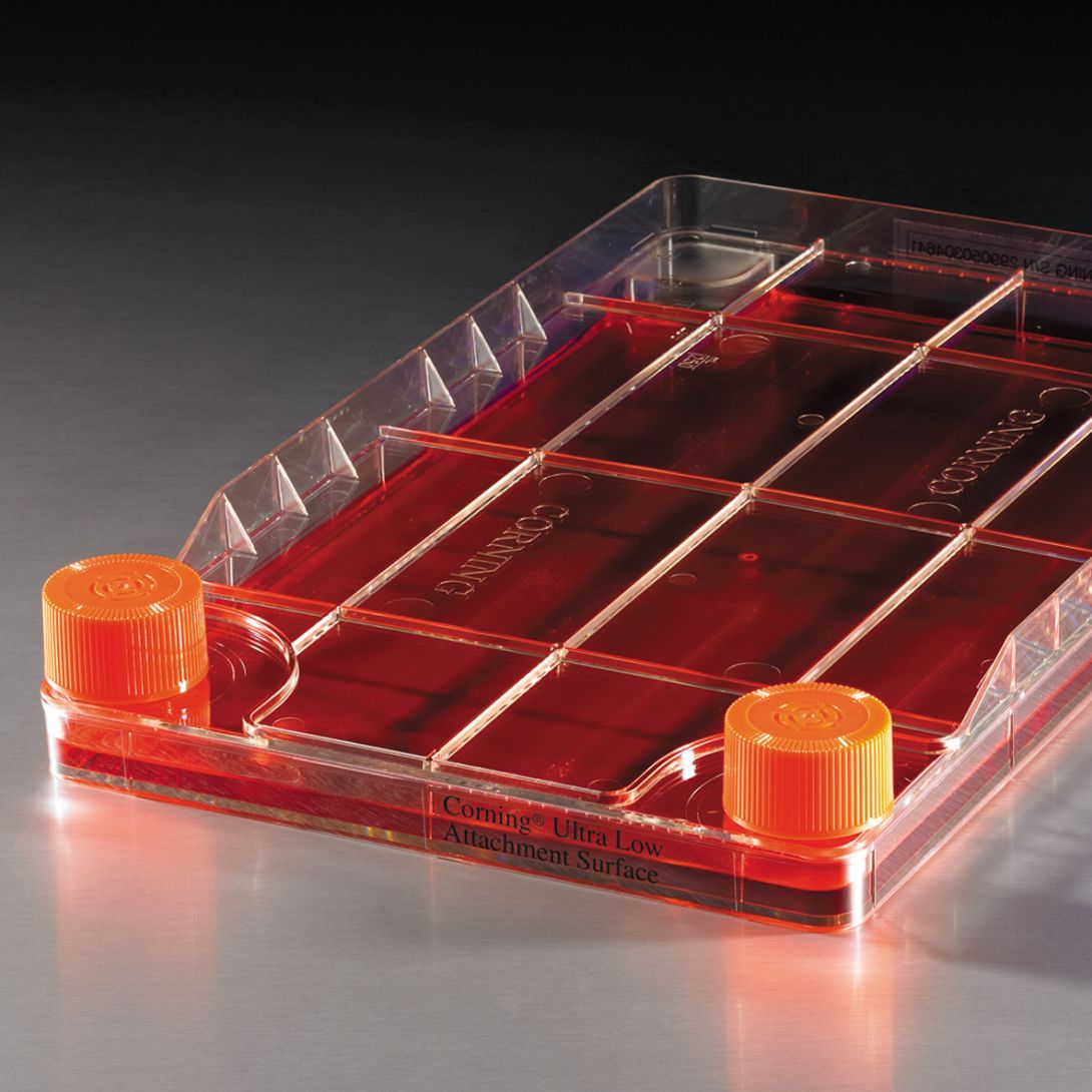UltraLow Attachment Surface Enable 3D Spheroid Formation Corning