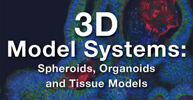 3D Model Systems: Spheroids, Organoids, and Tissue Models Ebook