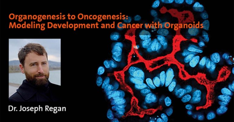 Organogenesis to Oncogenesis
