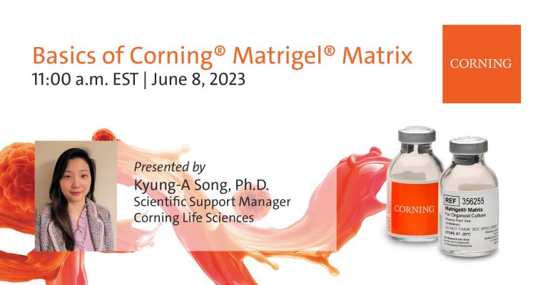 Basics of Corning® Matrigel® Matrix