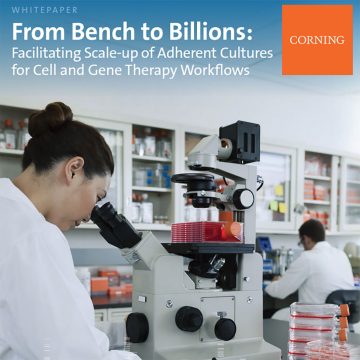 From Bench to Billions: Facilitating Scale-Up of Adherent Cultures for Cell and Gene Therapies