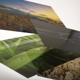 Four scenes of nature embedded in thin sheets of glass