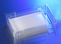 Corning® Transwell® Large Format Insert, 100 cm², Tissue Culture-treated, 0.4 µm Pore Size, with Tray and Lid