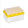 Axygen® HybridRack™ Pipet Tip, 200 µL, NX Filtered, Maxymum Recovery Surface, Racked, Sterile