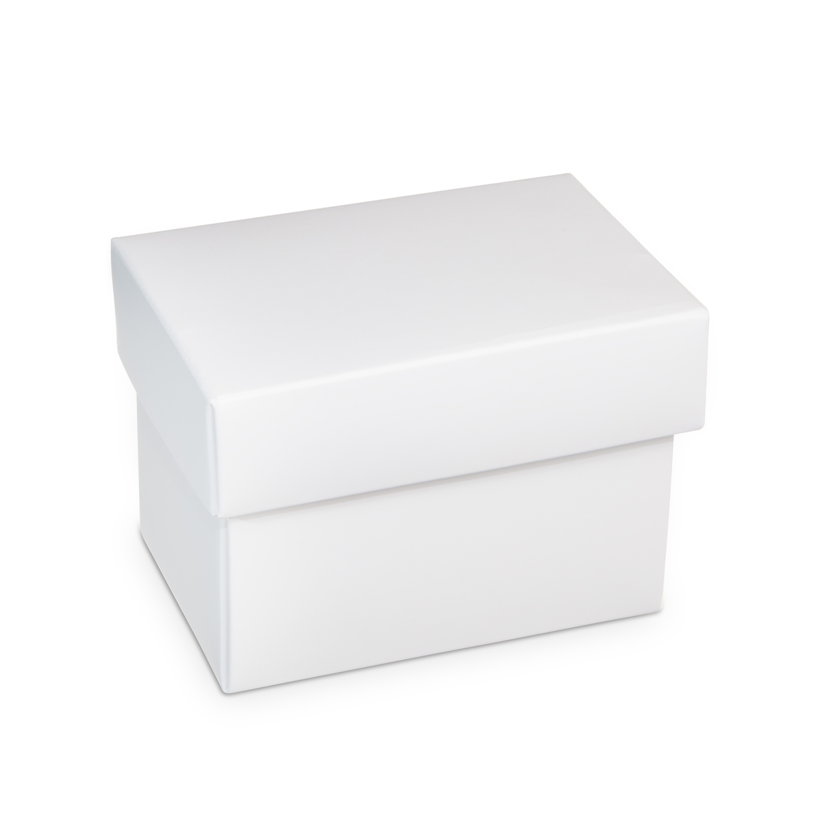 Axygen® HybridRack™ Pipette Tips, 300 µL, Extended Length, Racked, Sterile