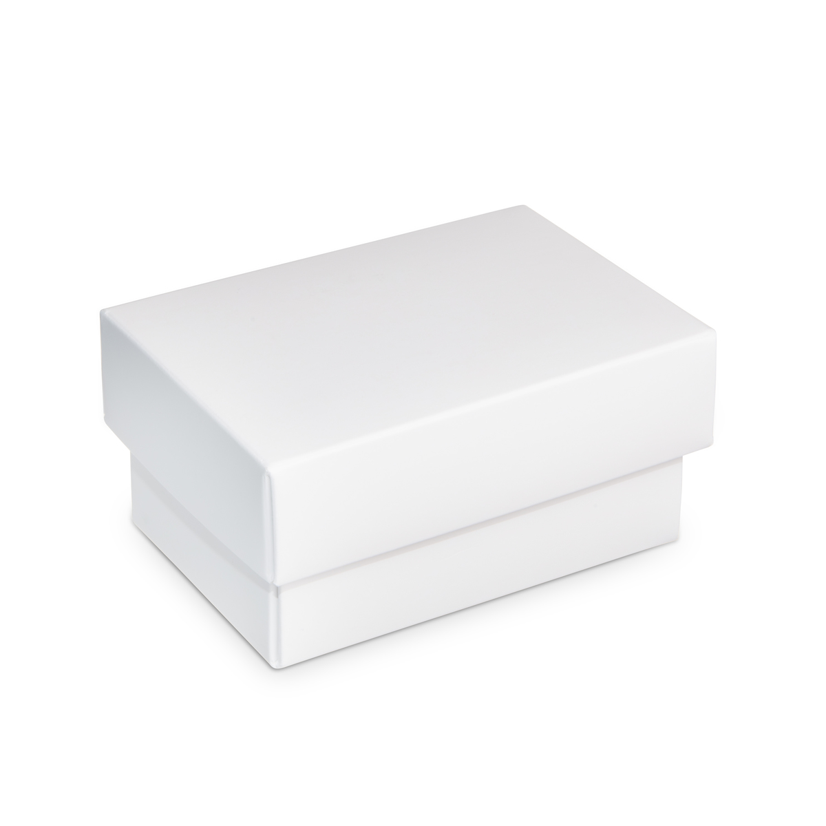 Axygen® 20 µL LTS Compatible Pipet Tip, Filtered, HybridRack™, Sterile