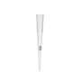 Axygen® 20 µL Filtered Pipette Tips, Racked, Sterile, 4800/Case, 960/Pack