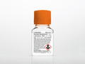 Corning® 100 mL 青霉素-链霉素-L-谷氨酰胺，100x [+] 29.2 mg/ mL L-谷氨酰胺