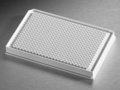 Corning® 低容量384孔白色平底聚苯乙烯NBS微孔板，10/袋，不带盖，带通用条码，非灭菌