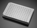 Corning® BioCoat® Collagen I 96-well Black/Clear Flat Bottom TC-treated Microplate, with Lid, 5/Case
