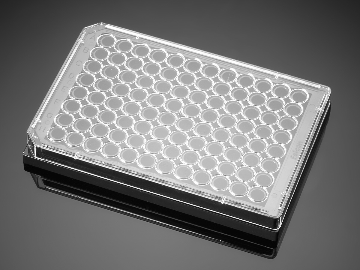 Corning® BioCoat™ Collagen I 96 Well Black/Clear Flat Bottom TC-Treated Microplate, with Lid, 5/Case