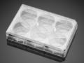 Corning® BioCoat® Collagen I 6-well Clear Flat Bottom TC-treated Multiwell Plate, with Lid, 5/Case