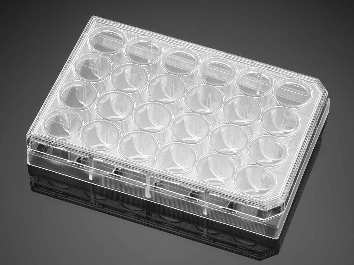 Corning® BioCoat™ Collagen I 24 Well Clear Flat Bottom TC-Treated Multiwell Plate, with Lid, Nonster