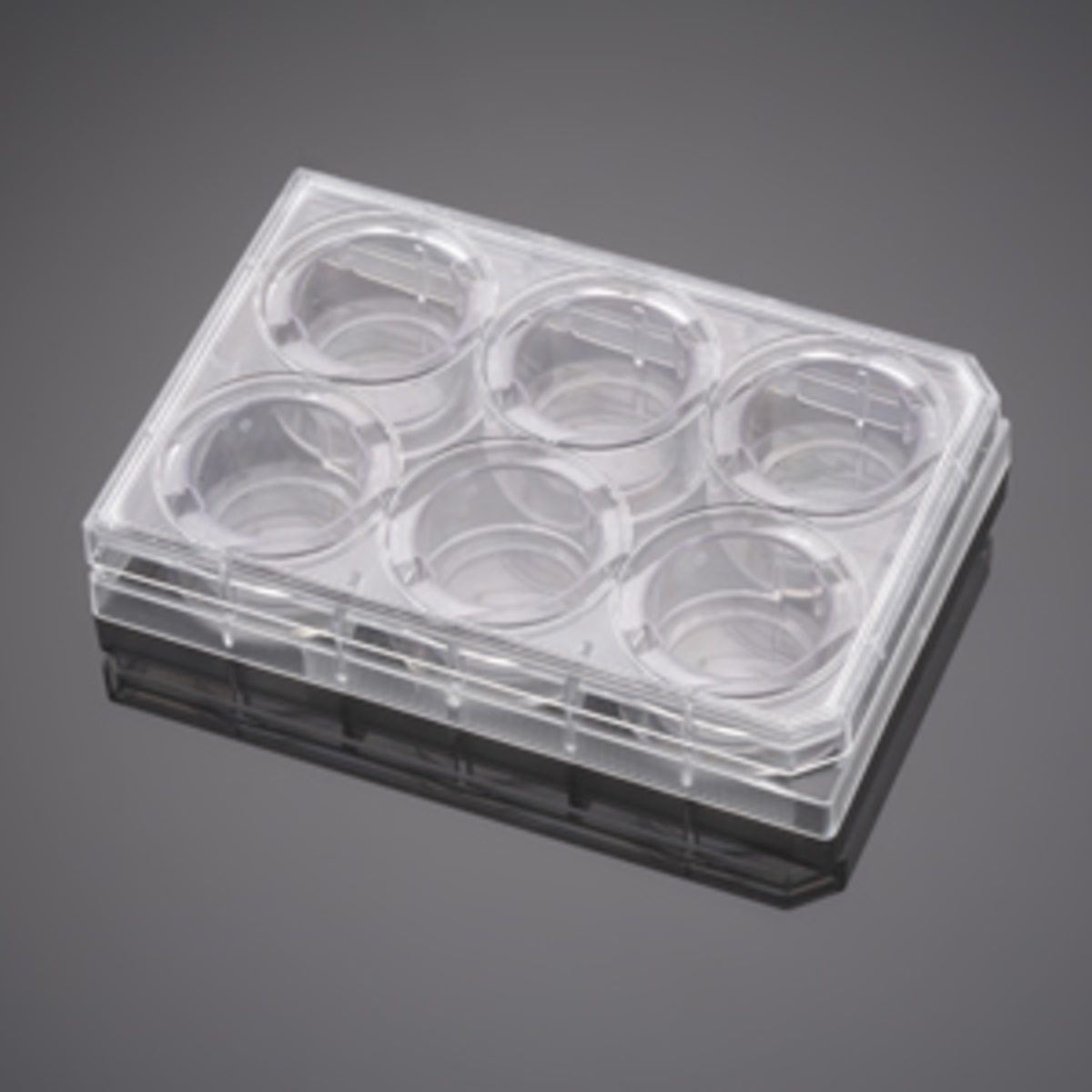 Corning® BioCoat™ Control Inserts with 1.0 µm PET Membrane in four 6-well Plates, 6/Pack, 24/Case