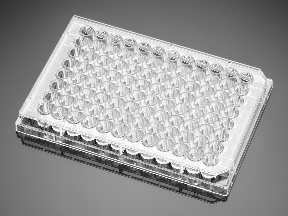 Corning® BioCoat™  Gelatin 96 Well Clear Flat Bottom Microplate, with Lid, Nonsterile, 5/Case