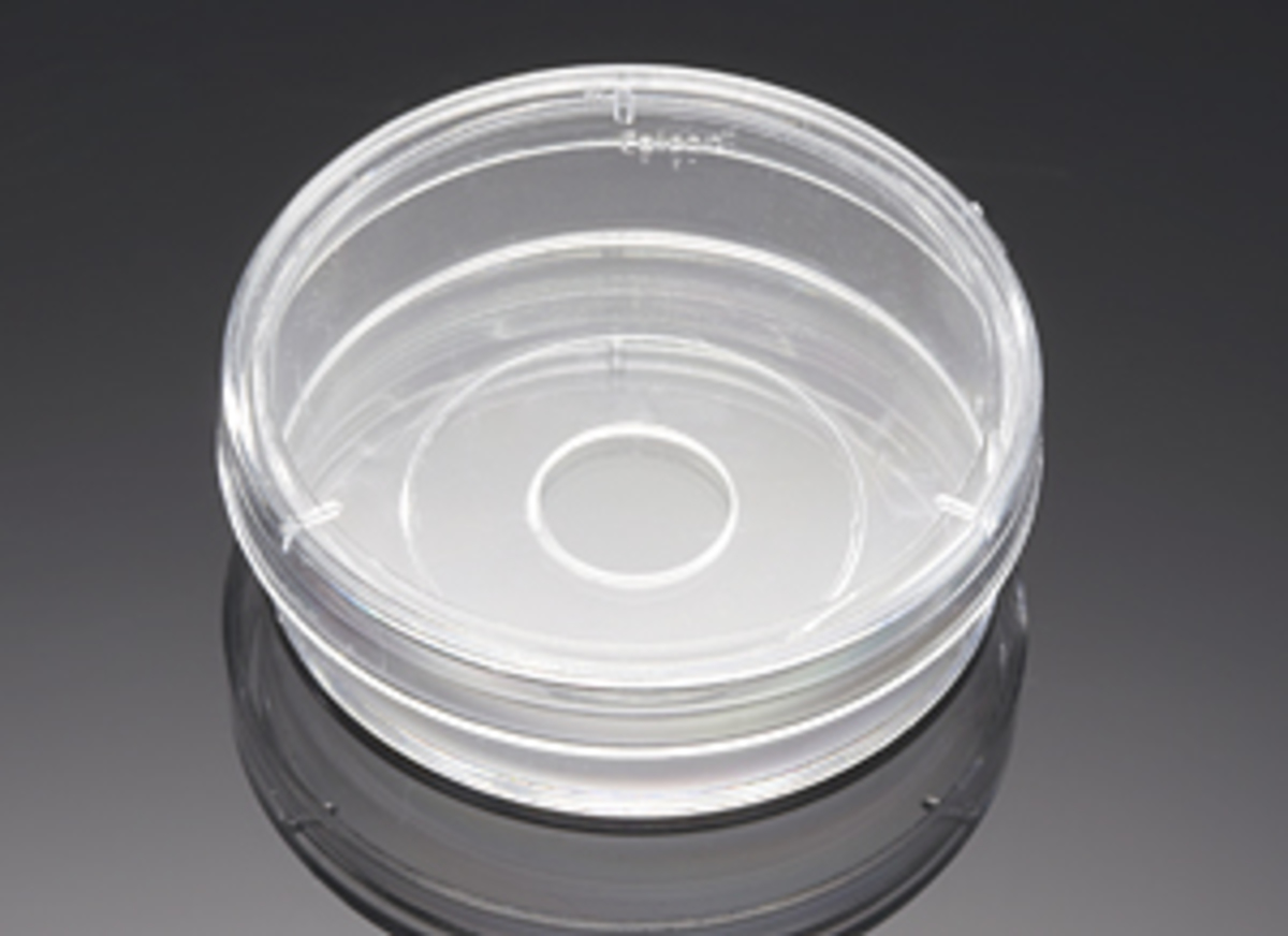Corning® BioCoat® Poly-D-Lysine Coverslips