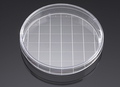 Corning® BioCoat® Poly-D-Lysine 150 mm TC-treated Gridded Culture Dishes, 5/Pack, 5/Case