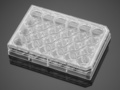 Corning® BioCoat® Poly-D-Lysine 24-well Clear Flat Bottom TC-treated Multiwell Plate, with Lid, 5/Pack, 50/Case