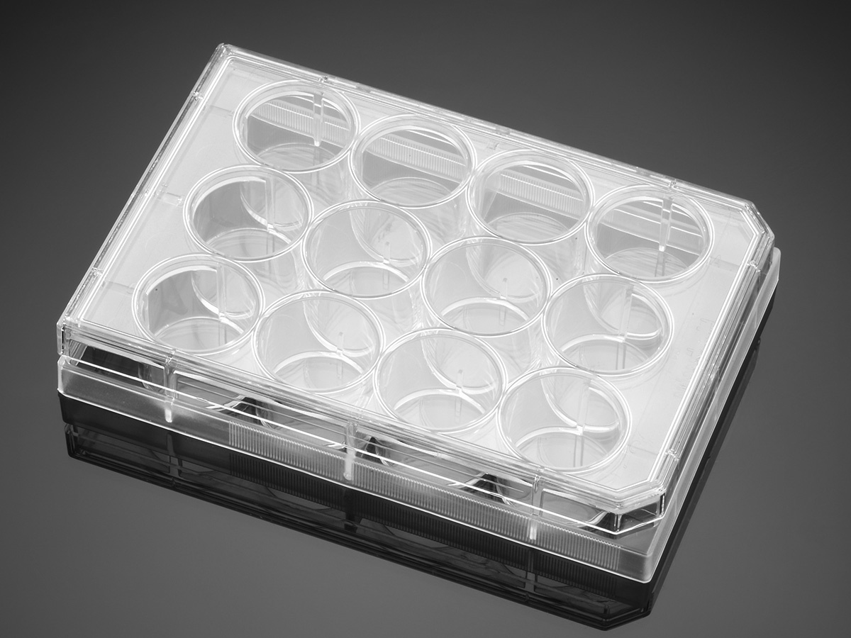 Corning® BioCoat™ Poly-D-Lysine 12 Well Clear Flat Bottom TC-Treated Multiwell Plate, with Lid, Nons