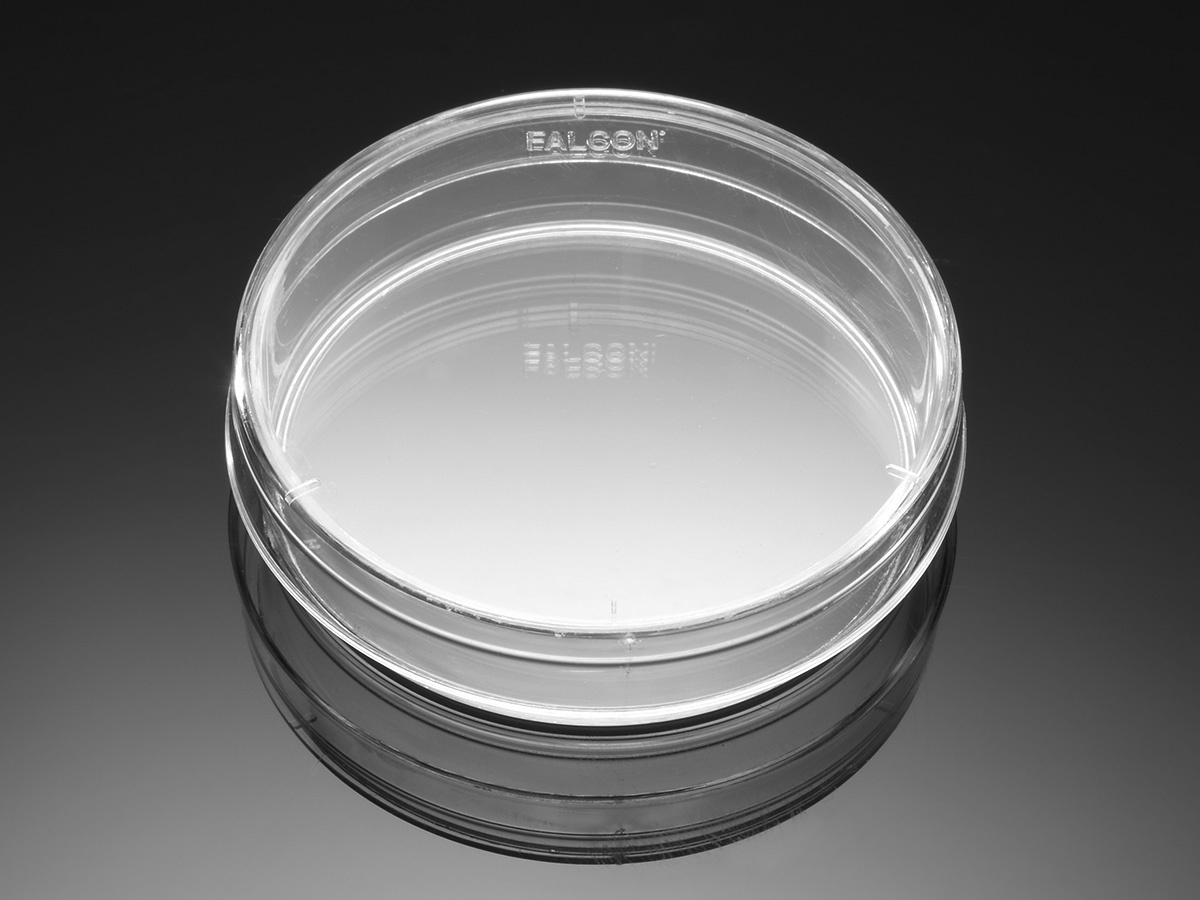 Corning® BioCoat™ Poly-L-Lysine 60mm TC-Treated Culture Dishes, 20/Pack, 100/Case, Nonsterile