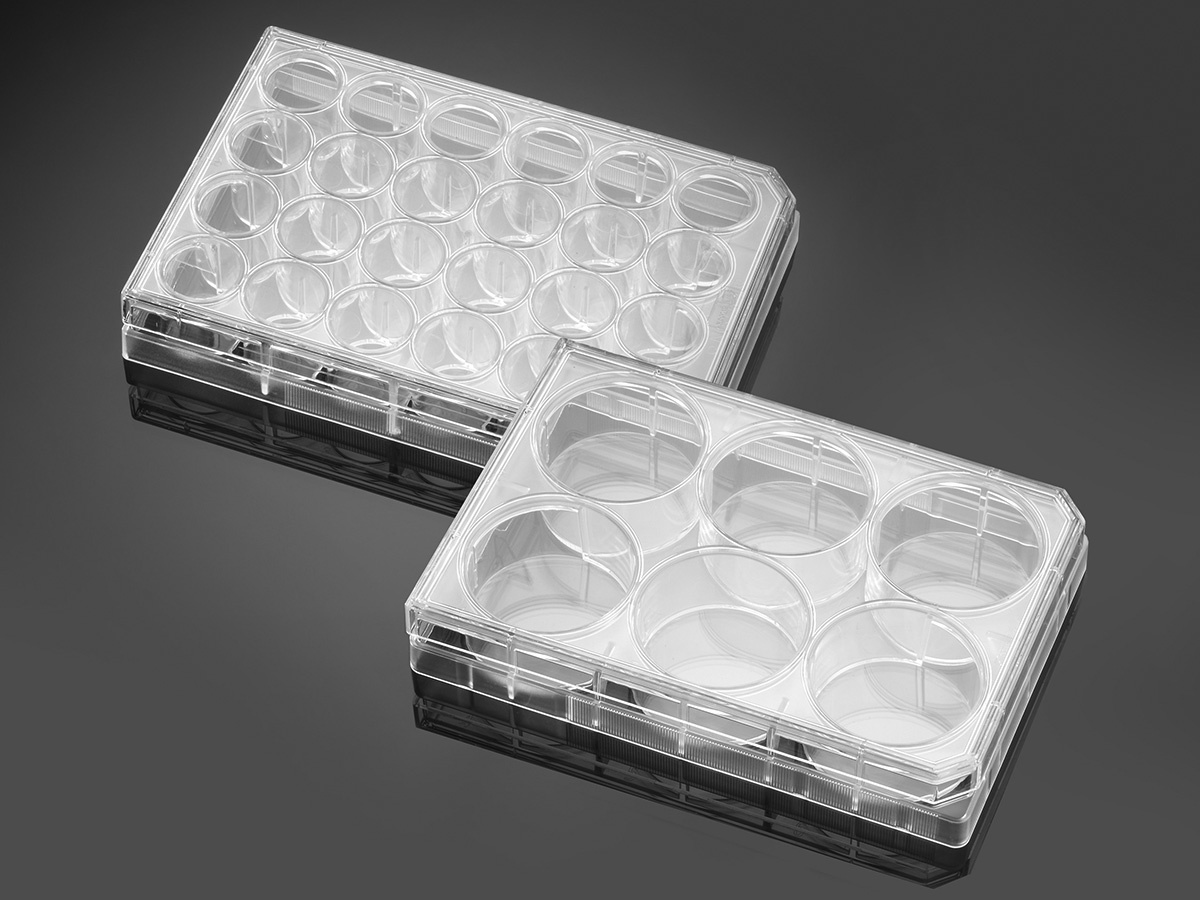 Corning® BioCoat® Poly-L-Ornithine/Laminin Plates