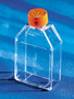 Corning® CellBIND® 25cm²长方形斜颈细胞培养瓶，带透气盖