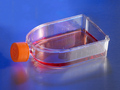 Corning® CellBIND® 75cm² U形斜颈细胞培养瓶，带透气盖