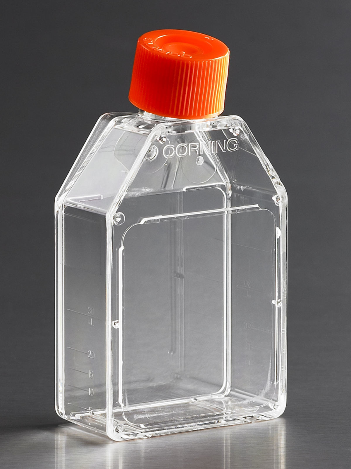 True Flask • Plastic 16 oz