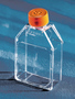 Corning® 25cm²长方形斜颈细胞培养瓶，带透气盖