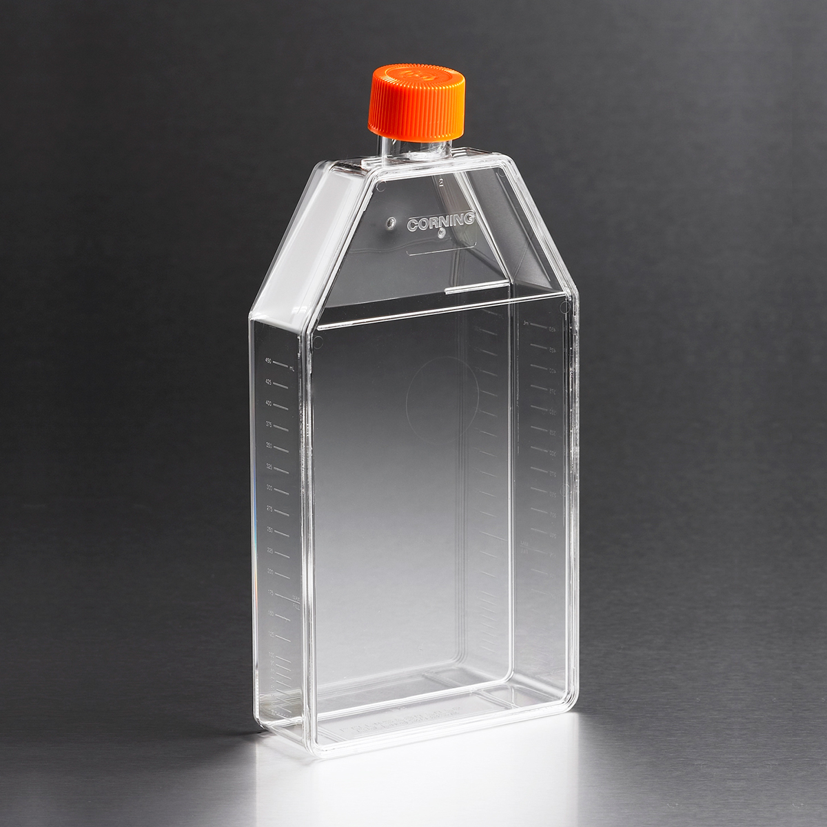 Corning® 150cm² Rectangular Canted Neck TC-treated Cell Culture Flask, Vent Cap