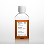 Corning® Fetal Bovine Serum, 500 mL, Premium, United States Origin (Ultra Low IgG)