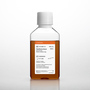 Corning® Fetal Bovine Serum, 500 mL, Premium, Australian Origin (Heat Inactivated)