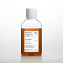 Corning® Fetal Bovine Serum, 500 mL, Regular, South American Origin (Heat Inactivated)