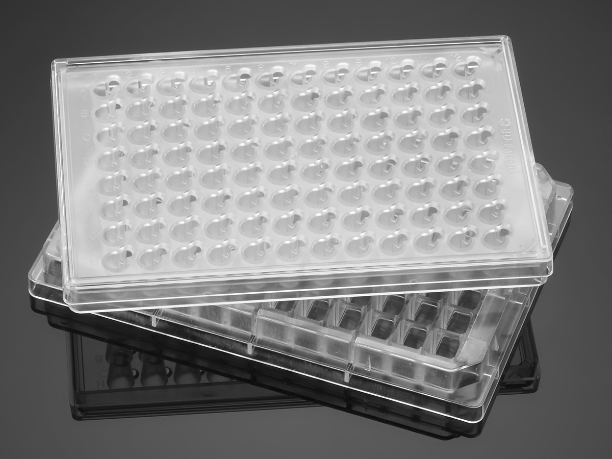 Corning Fluoroblok 96 Multiwell Insert Systems Pet Membrane Hts Permeable Supports Life Sciences United States Consumer Site Corning