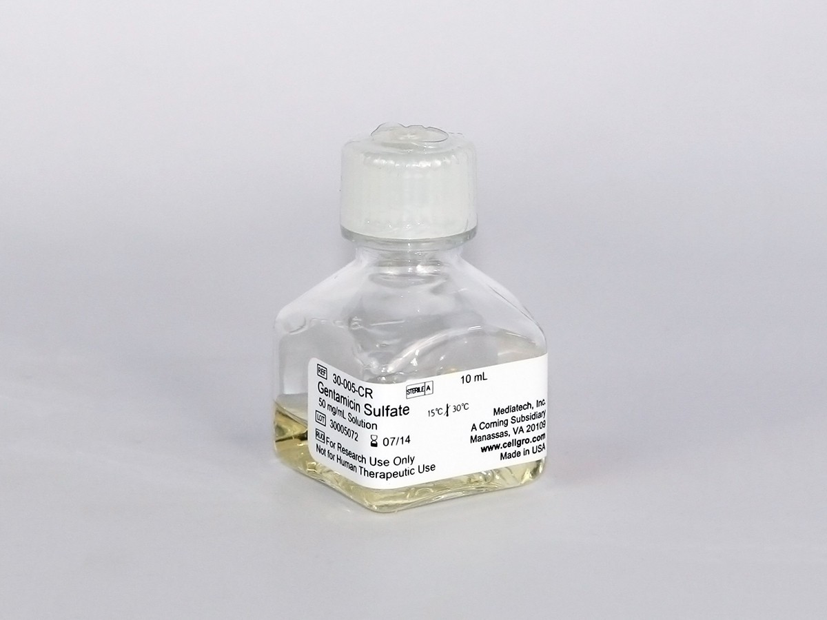 Gentamicin Gentamicin (Injection