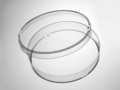 Corning® Gosselin™ 培养皿，100 x 15 mm，3个透气孔，灭菌，双层外包装袋，28/袋，700/箱