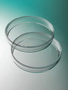 Corning® Gosselin™ Petri Dish 100 x 15 mm, No Vent, Aseptic, 28/Bag, 700/Case