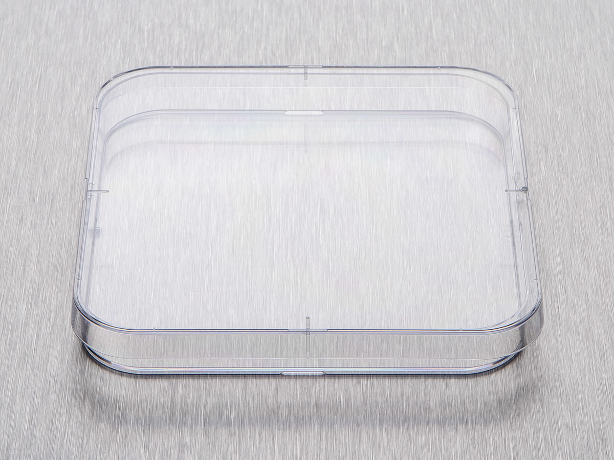 Corning® Gosselin™ Square Petri Dish 120 x 15 mm, 4 Vents, Sterile, 14/Bag, 252/Case