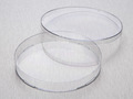 Corning® Gosselin™ Petri Dish 150 x 15 mm, No Vent, 11/Bag, 176/Case