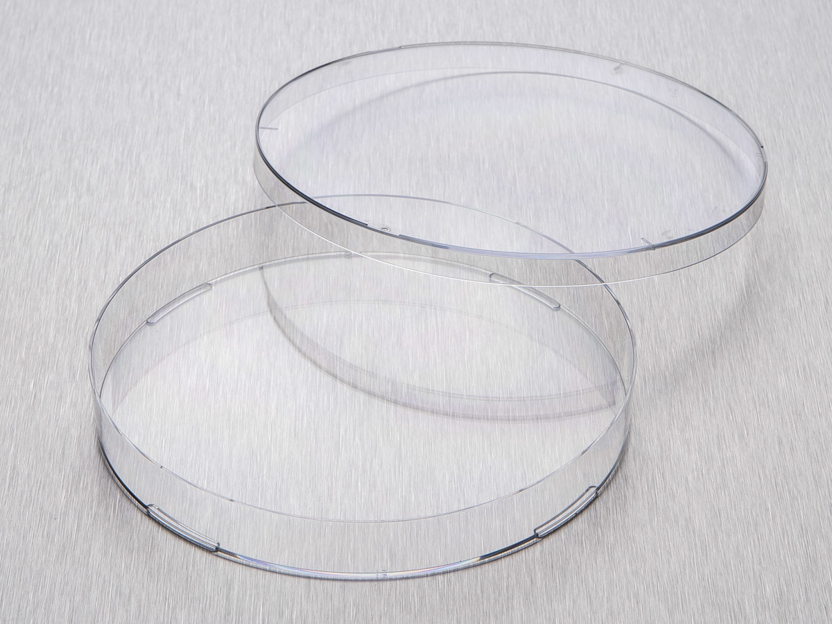 Corning® Gosselin™ 150 x 15 mm Petri Dishes
