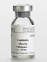 Corning® ラミニン、マウス1 mg