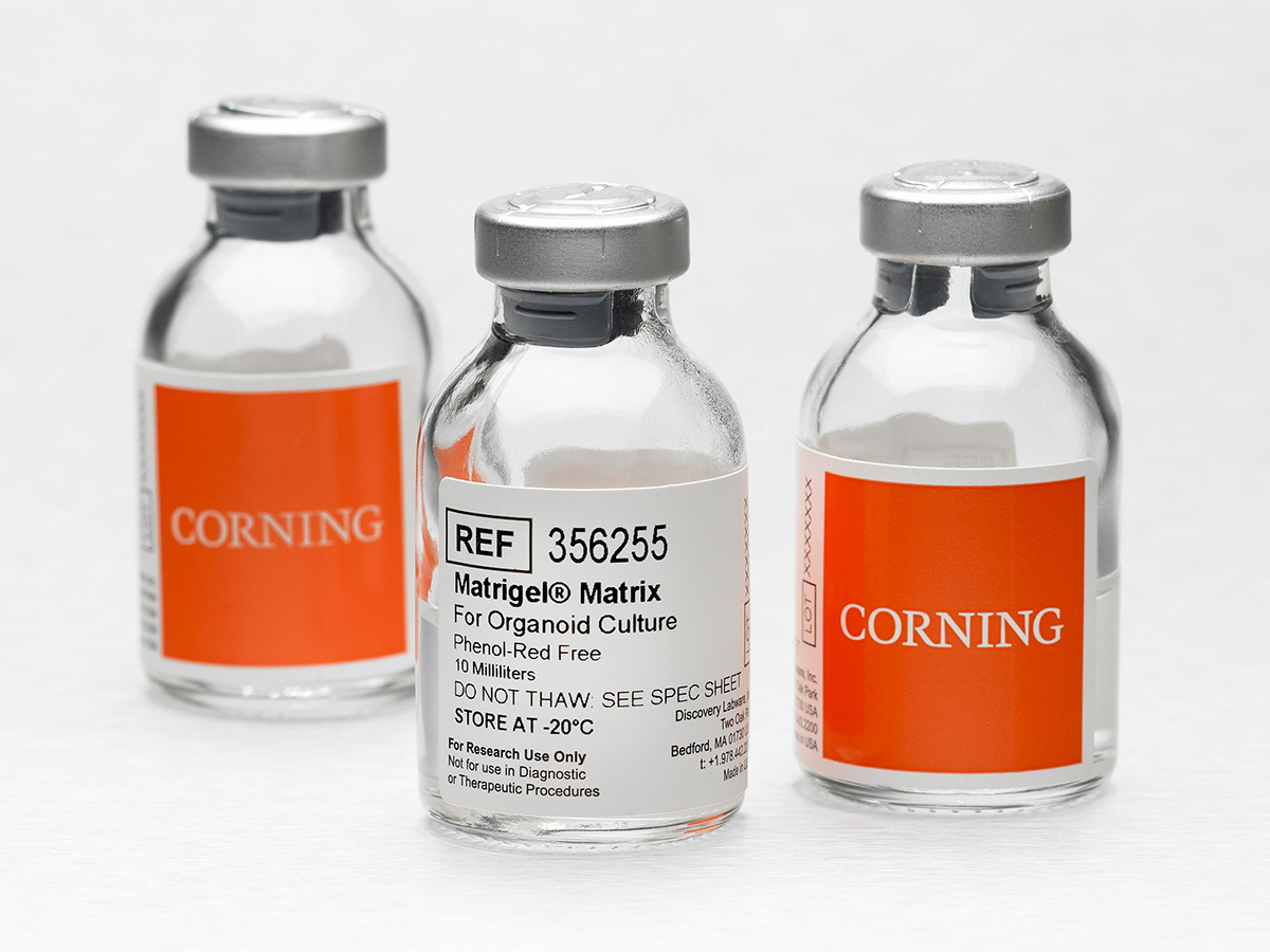 Corning® Matrigel® Matrix for Organoid Culture, Phenol Red-free, LDEV-free, 10 mL