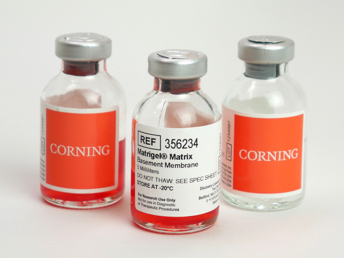 Cell Culture Corning