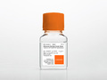 Corning® 100 mL Molecular Biology Grade Water Tested to USP Sterile Purified Water Specifications